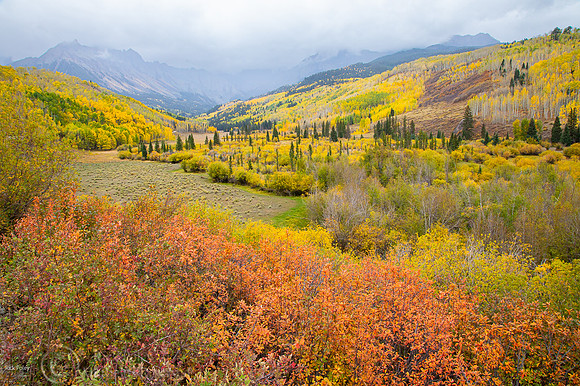 Autumn Scene Along County Road 7,  Ouray County, CO