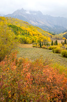 Autumn Scene Along County Road 7,  Ouray County, CO