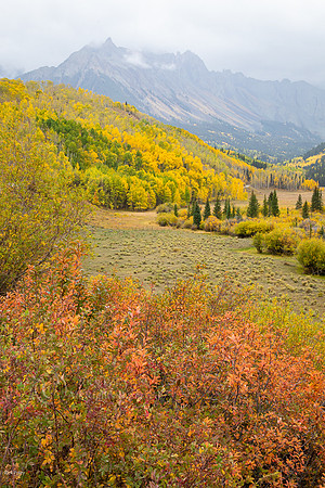 Autumn Scene Along County Road 7,  Ouray County, CO