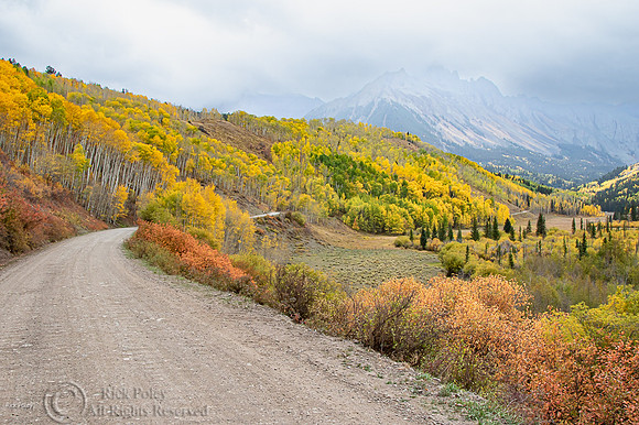 Road Into the San Juan Mountains, CO