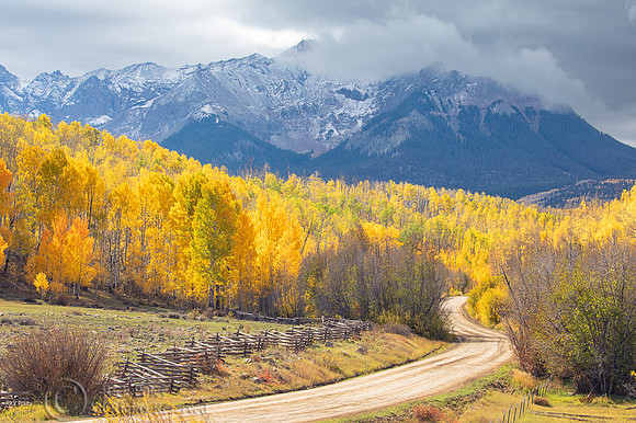 Last Dollar Road & Quaking Aspen (Populus tremuloides) During th