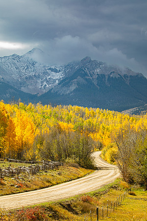 Last Dollar Road & Quaking Aspen (Populus tremuloides) During Fa