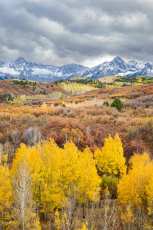 Sneffels Range, San Juan Mountains In Autumn, CO