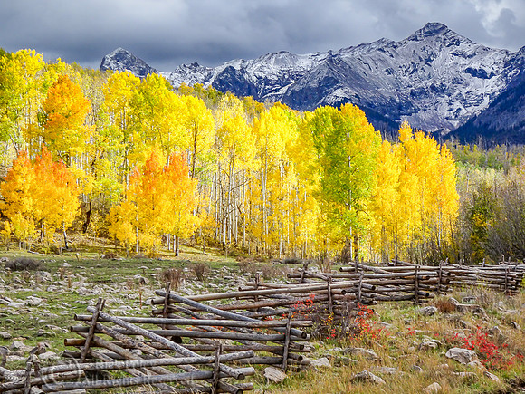 First Autumn Snowfall, San Juan Mountains, Uncompahgre National