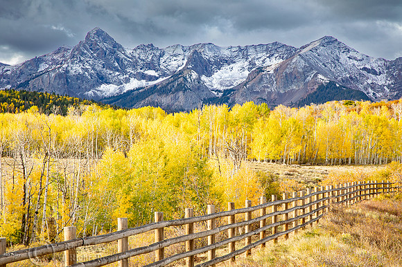 Timber Fence& Aspens, Sneffels Range, San Juan Mountains,  Uncom