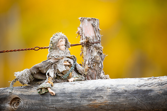 Weathered Doll on Fence, San Juan Mountains, CO