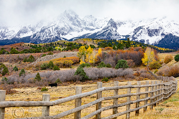 Dallas Divide, San Juan Mountains, Sneffels Range, Uncompahgre N