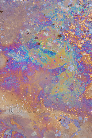 Oily Sheens Created By Decomposing Bacteria Cells