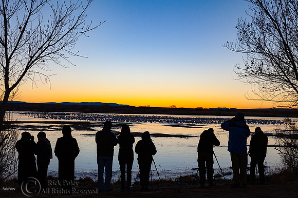 Birdwatchers at Dawn, Bosque del Apache National WIldlife Refuge