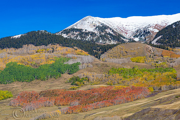 First Autumn Snowfall, Toccky Mountains, Crested Butte, CO