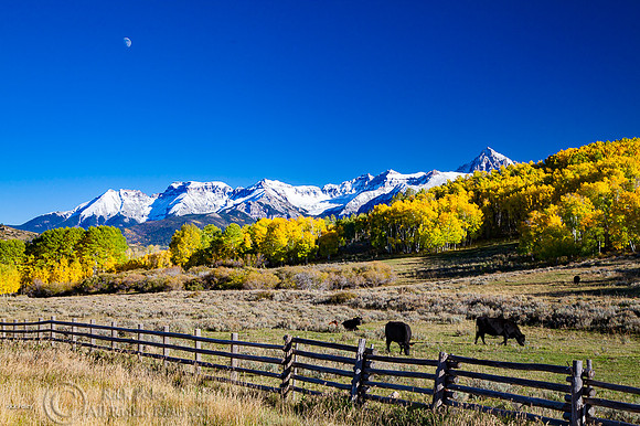 Cattle Ranch & Snow-covered Rocky Mountains, Crestted Butte CO