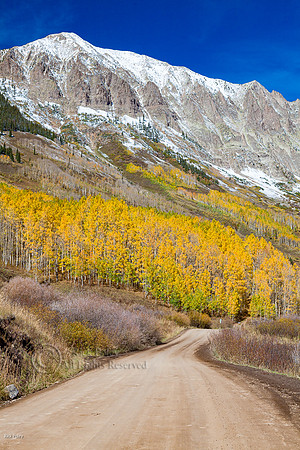 Road in Autumn, Crestted Butte CO