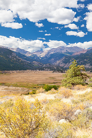 Moraine Park, Rocky Mountain National Park, CO