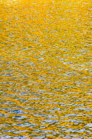 Autumn's Golden Reflections on Sprague Lake ,Rocky Mountain NP,