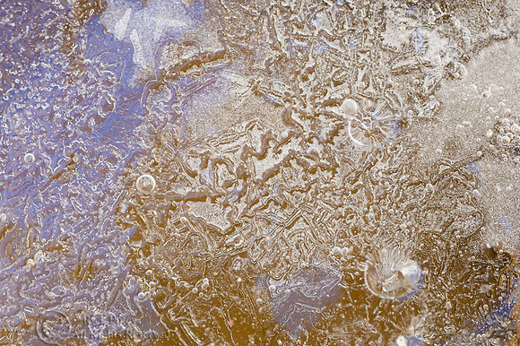 Ice Patterns, NM