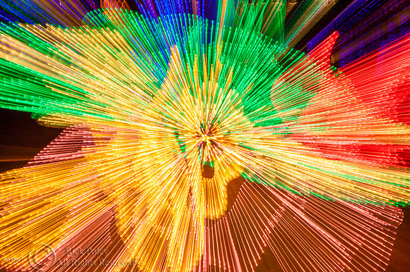 Light Fantasy, ABQ BioPark, NM