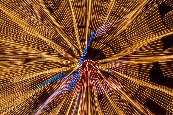 Light Fantasy, ABQ BioPark, NM