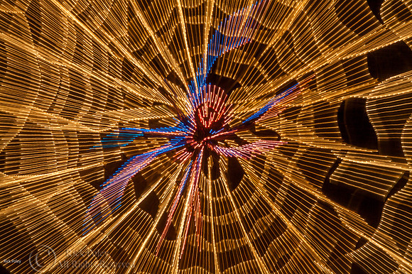 Light Fantasy, ABQ BioPark, NM