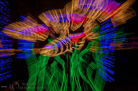 Light Fantasy, ABQ BioPark, NM