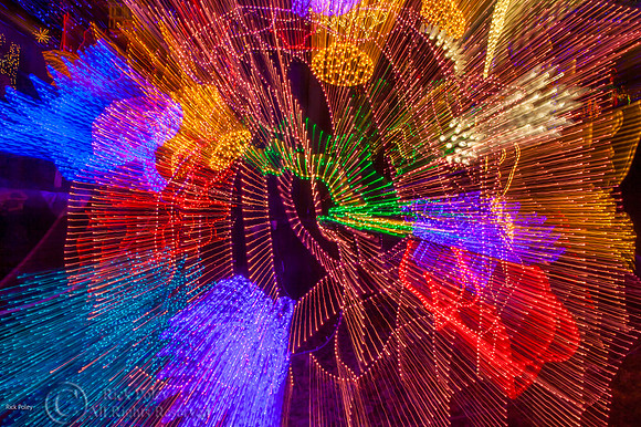 Light Fantasy, ABQ BioPark, NM