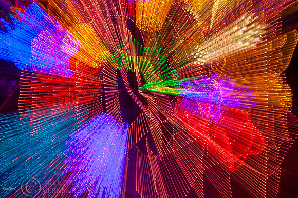 Light Fantasy, ABQ BioPark, NM