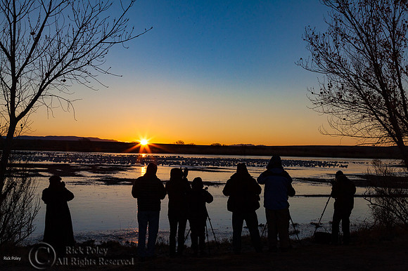 Birdwatchers at Dawn, Bosque del Apache National WIldlife Refuge