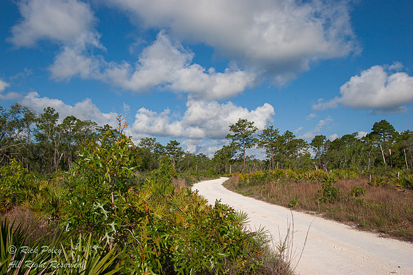 Chassahowitzka National Wildlife Refuge, FL