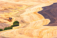 Harvested Wheat Field, Palouse Region, WA