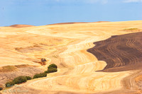 Harvested Wheat Field, Palouse Region, WA