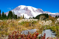 Mt. Rainier (14410-foot (4390 m)) Stratovolcano, WA