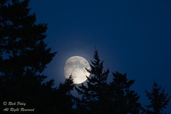 Misty Moonrise, Birch Bay State Park, WA
