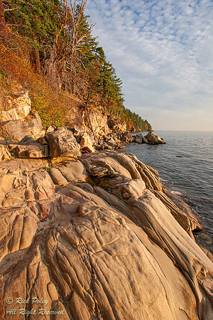 Coastling at Larrabee State Park, WA