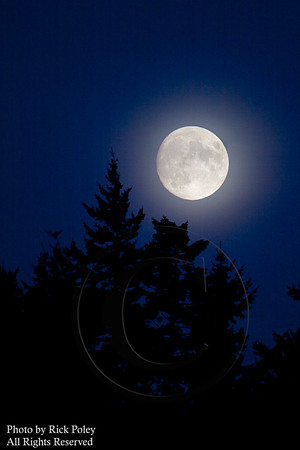 Misty Full Moonrise, Birch Bay, WA