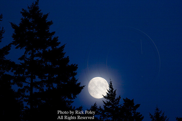Misty Moonrise, Birch Bay, WA