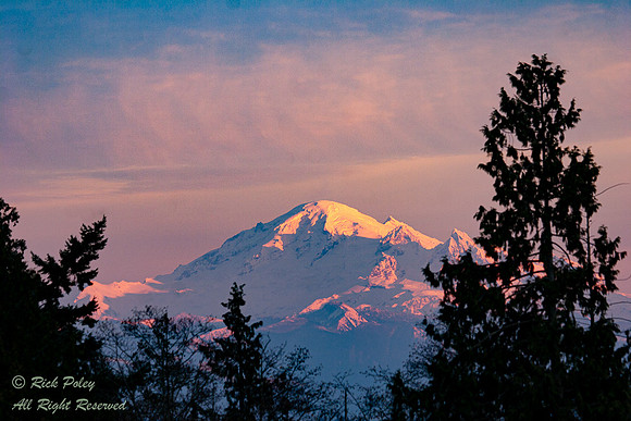 Snow-capped Mt. Baker, 10781 ft (3286 m)  high, WA
