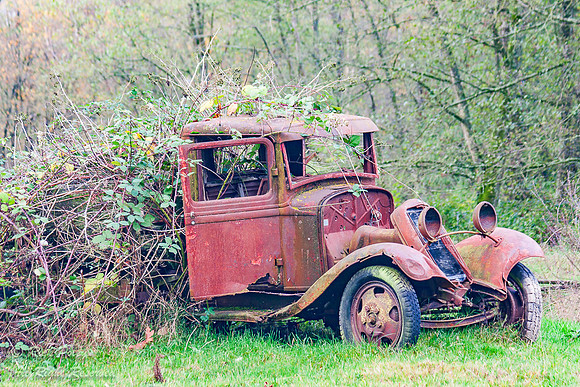Rusted Truck Returning to Earth, WA