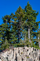 Basalt Rock Columns & Evergreen Trees, North Cascades NP, WA