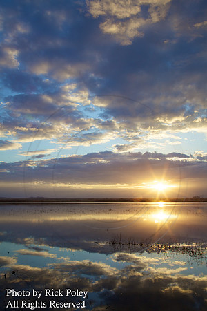 Sunrise, Bosque del Apache NWR, NM