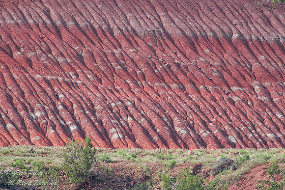 Erosion Patterns, Rio Arriba County, NM