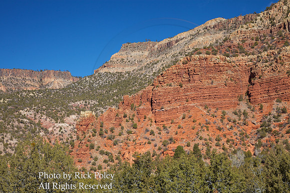 Rio Guadalupe Canyon in the Jemez Mountains