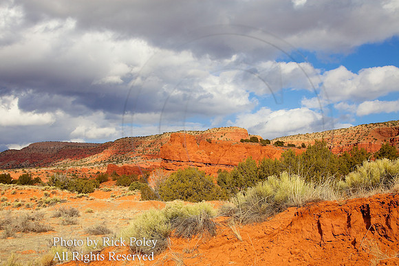 Jemez Red Rocks
