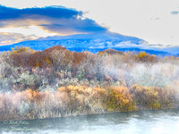 Dawn Along the Rio Grande River, NM