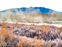 Frosty Misty Morning Along Rio Grande River With Sandia Mountain