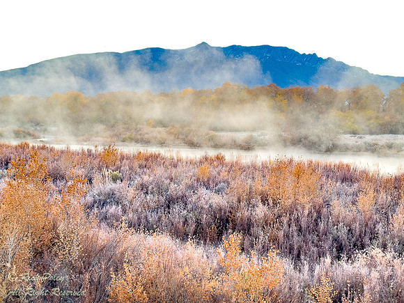 Frosty Misty Morning Along Rio Grande River With Sandia Mountain
