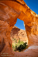 Pine Tree Arch, UT