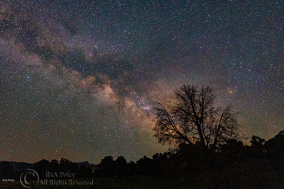 Ridgeway Milky Way Nightscape, CO