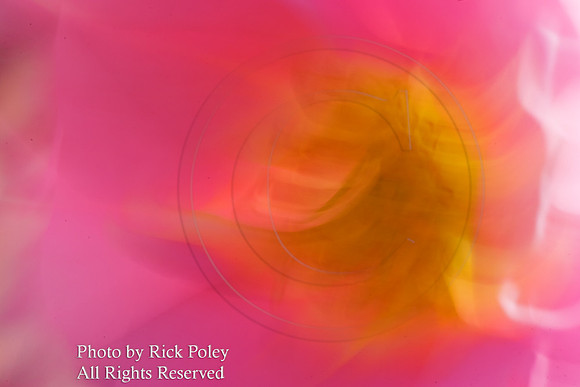 Pink Motion