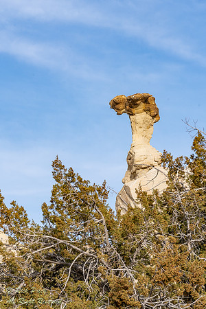 Hoodo Capped With Petrified Wood