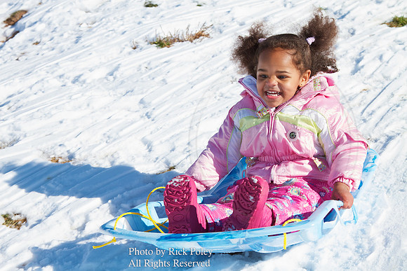 Young Girl Sledding