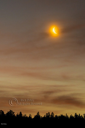 Crescent Moonrise at Dawn